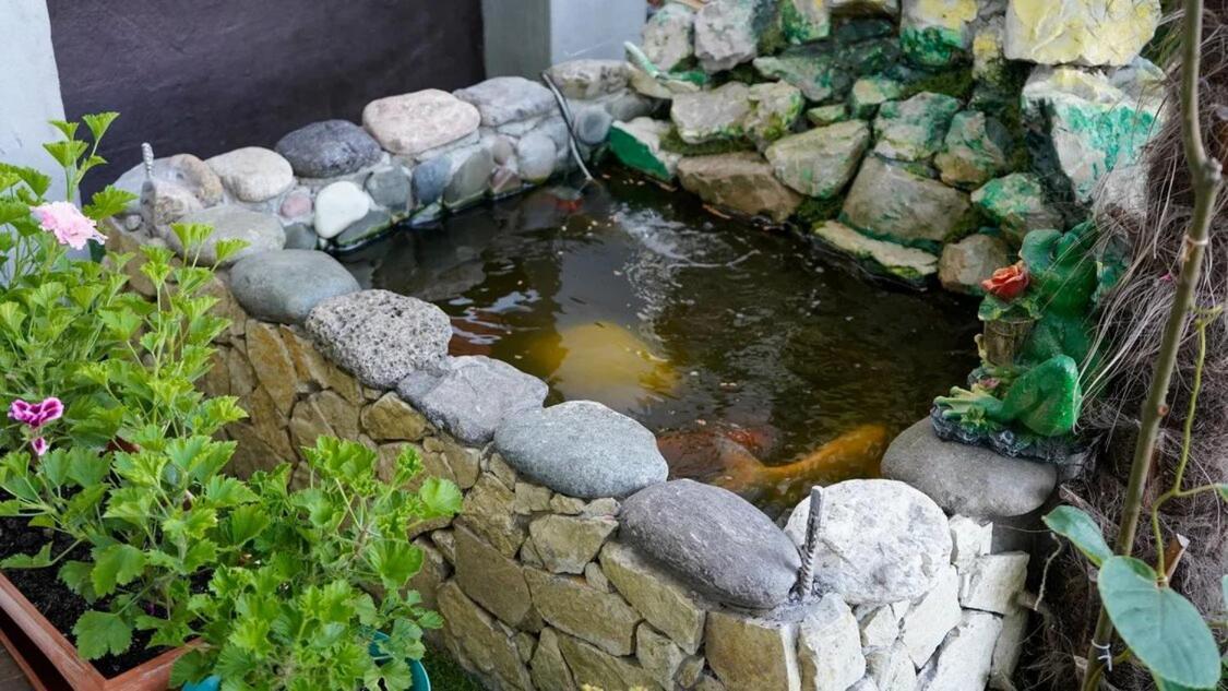 Вита Гагра Bagian luar foto